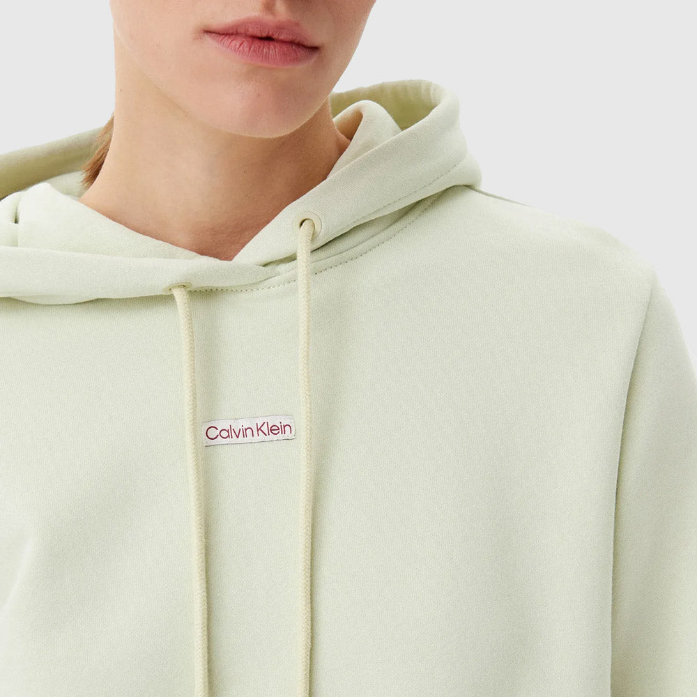 Placed Institutional Hoodie - Light Green