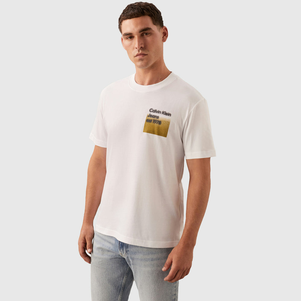 Calvin Klein Fade Box T-Shirt - White |ThirdBaseUrban