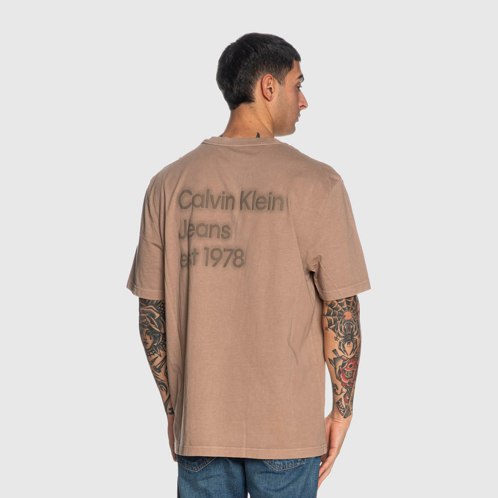 Washed Print T-Shirt - Taupe