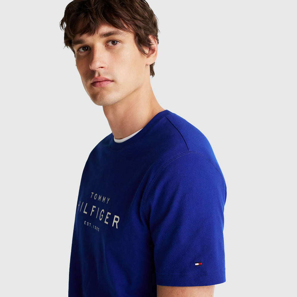 Hilfiger Logo T-Shirt - Blue