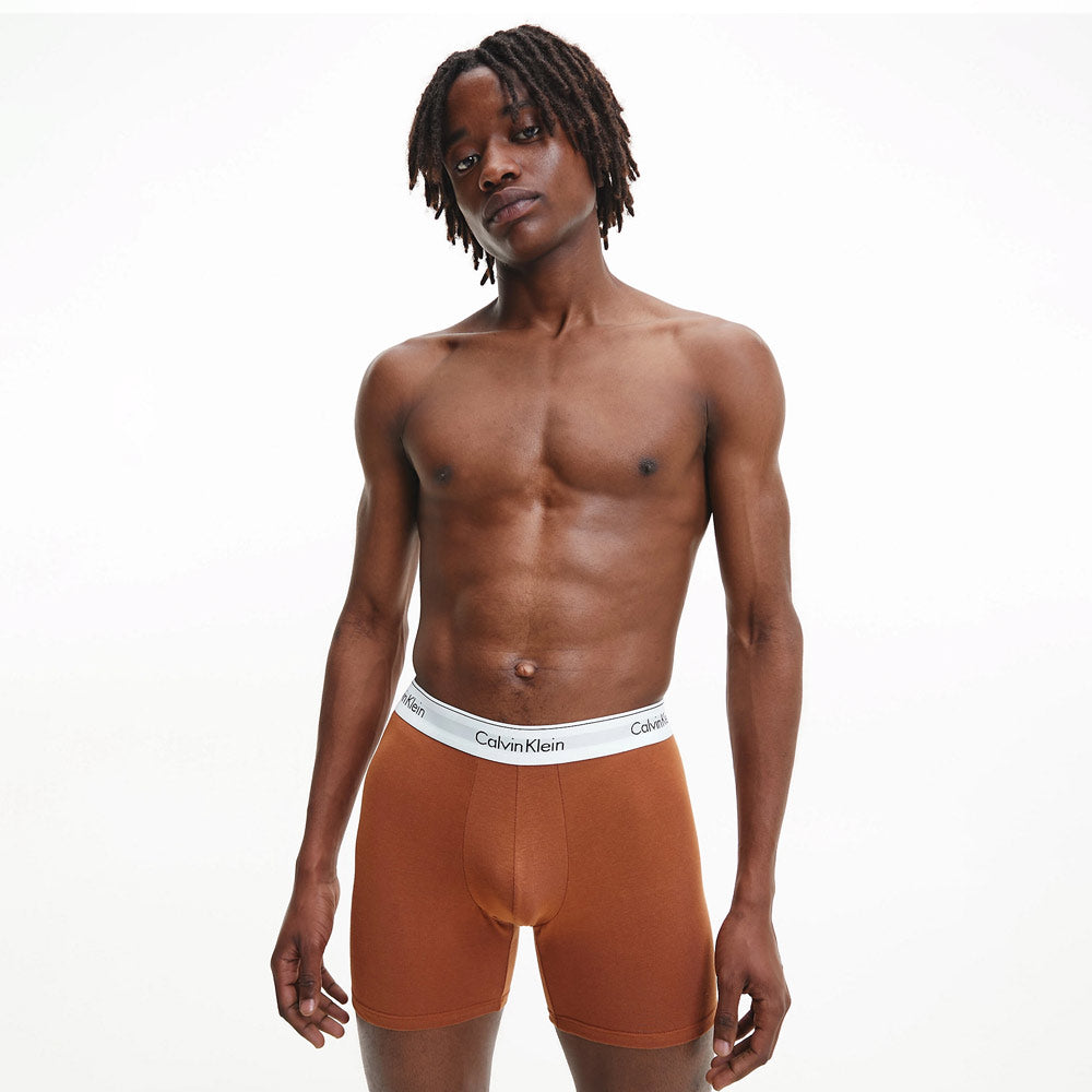 Trunk 3 Pack Underwear - Multi