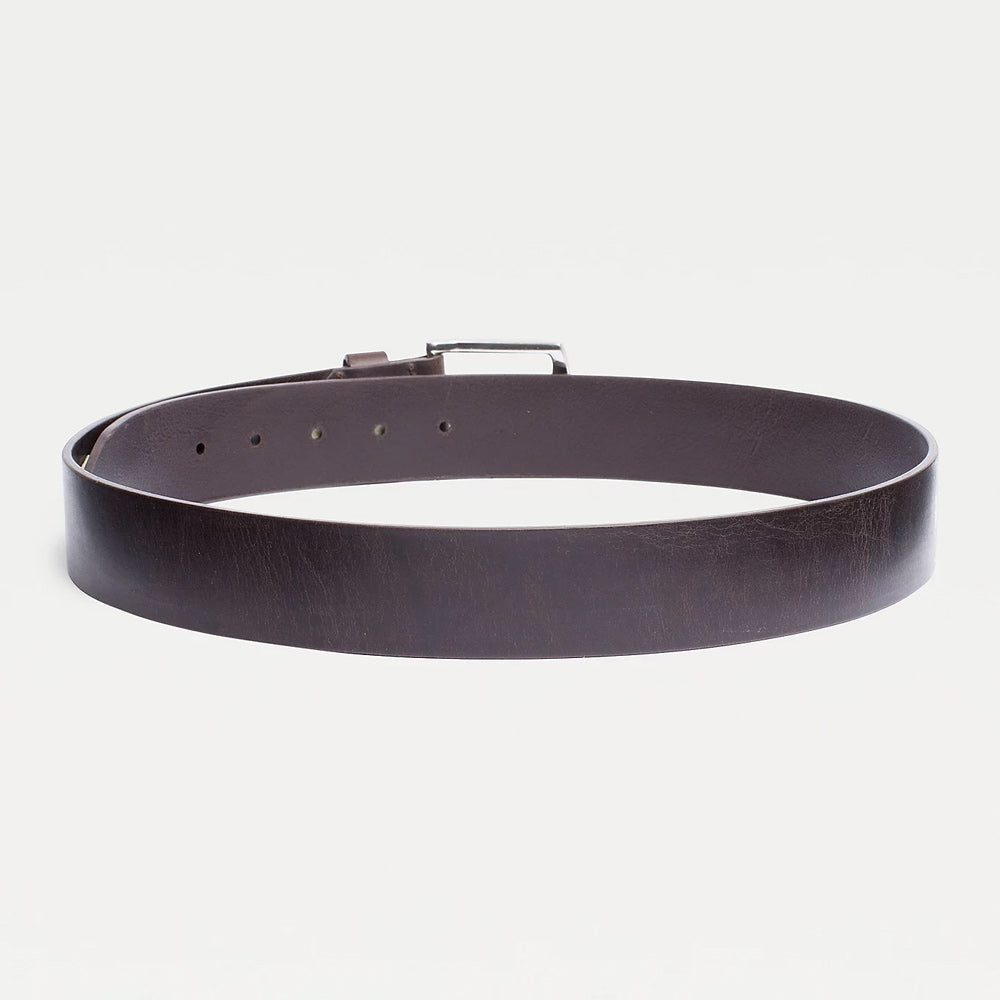 New Denton Belt 4.0 - Dark Clove