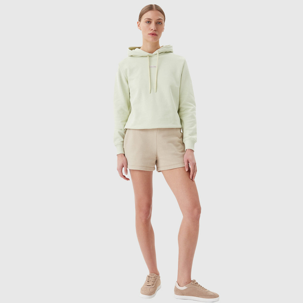 Placed Institutional Hoodie - Light Green