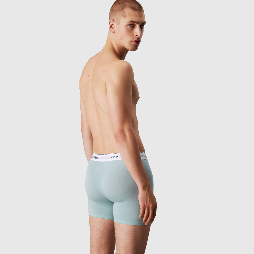 3 Pack Boxer Brief - Blue Multi