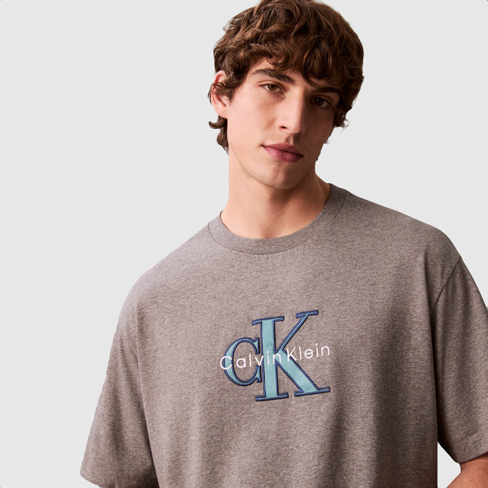 Tricolor Graphic T-Shirt - Grey Heather