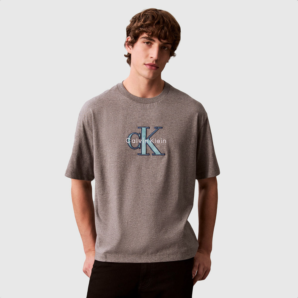 Calvin Klein Tricolor Graphic T-Shirt - Grey |ThirdBaseUrban