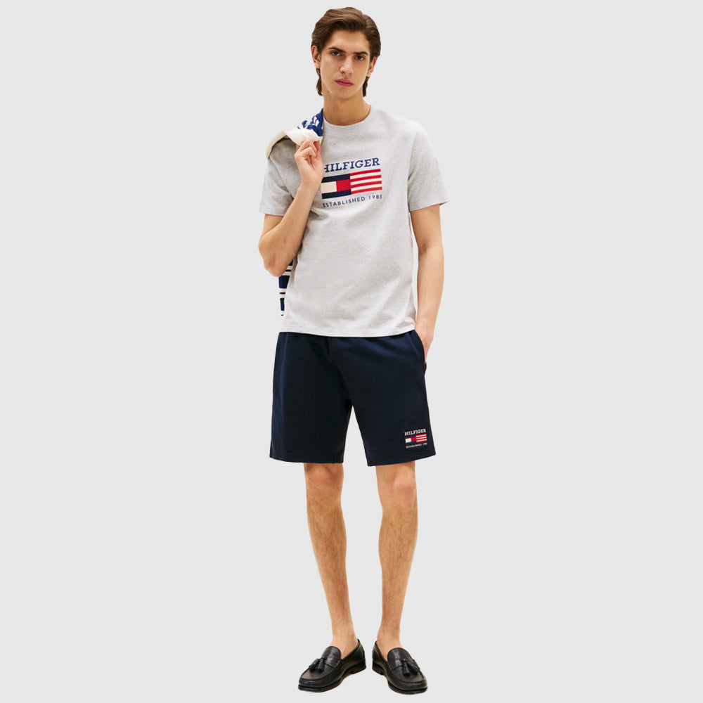 Americana Monotype Flag T-Shirt - Light Grey*