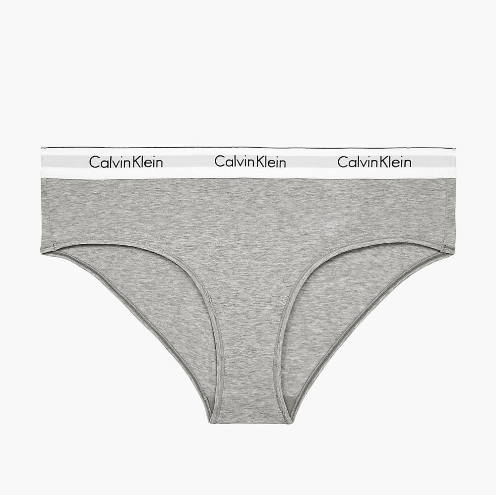 Women's Plus Size Hipster Panty- Grey Heather