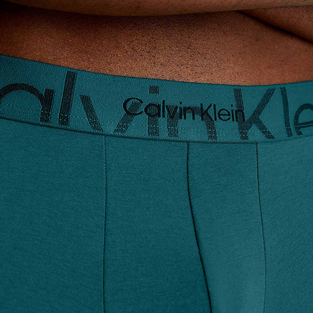 Trunk - Teal