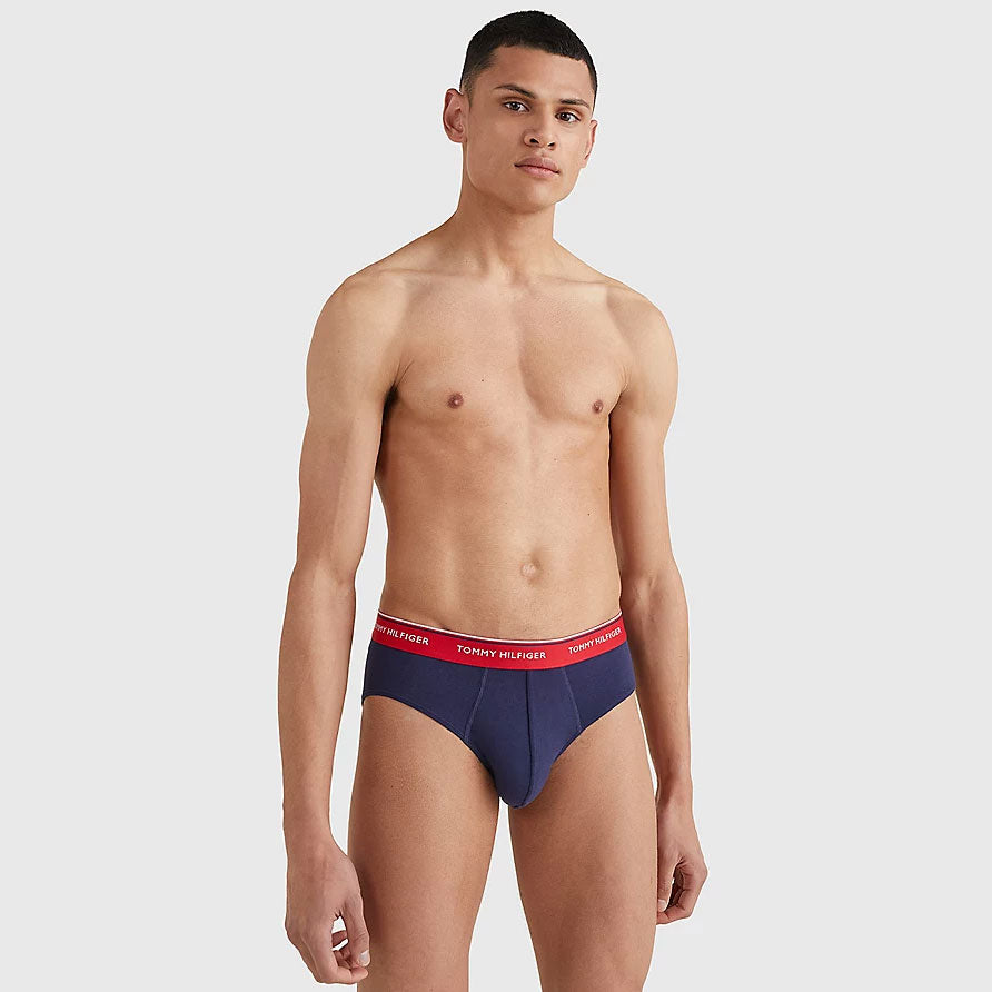 3-Pack Cotton Briefs - NAVY MULTI